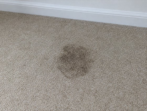 Check-out photo: dark mark on a beige carpet